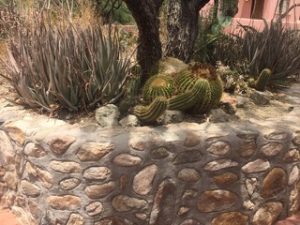 IMG_2371